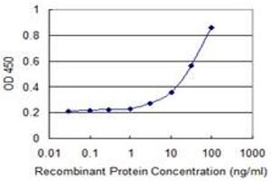 Detection limit for recombinant GST tagged BIRC7 is 1 ng/ml as a capture antibody. (BIRC7 抗体  (AA 1-90))