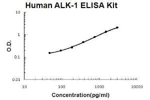 Human ALK-1/ACVRL1 PicoKine ELISA Kit standard curve (ACVRL1 ELISA 试剂盒)