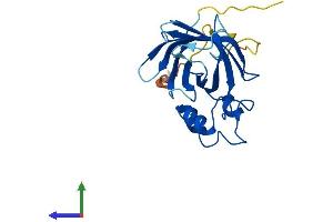 Protein Structure (PS) image for GID Complex Subunit 4, VID24 Homolog (GID4) (AA 1-217) protein (His tag) (ABIN7560492)