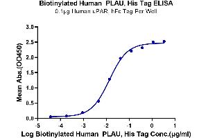 ELISA image for Plasminogen Activator, Urokinase (PLAU) (AA 21-431) protein (His-Avi Tag,Biotin) (ABIN7275460)