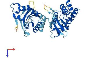 APOBEC3F Protein (AA 1-373) (His tag)