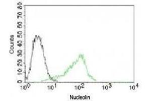 Flow cytometry testing of human 293 cells and  Alexa Fluor 488-labeled Nucleolin antibody (green). (Nucleolin 抗体)