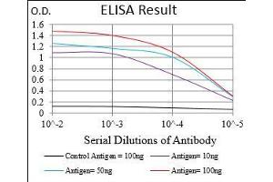 ELISA image for anti-Protein Kinase, AMP-Activated, gamma 1 Non-Catalytic Subunit (PRKAG1) (AA 230-331) antibody (ABIN1724932)
