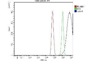 Flow Cytometry analysis of U87 cells using anti-VAPA antibody (ABIN7603249). (VAPA 抗体  (N-Term))