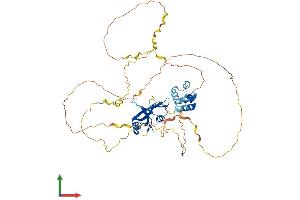 AlphaFold protein structure predicition of Mouse Recombinant Lcp2 Protein, UniprotID Q60787