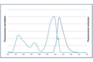 Image no. 2 for FluoroDye™ DNA Fluorescent Loading Dye (Green, 6X) (ABIN5662582)