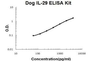 Dog IL-29 PicoKine ELISA Kit standard curve (IL29 ELISA 试剂盒)