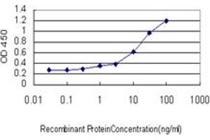 Detection limit for recombinant GST tagged ASCL1 is approximately 1ng/ml as a capture antibody. (ASCL1 抗体  (AA 137-236))