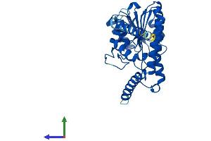 AlphaFold protein structure predicition of Mouse Recombinant Hsd17b12 Protein, UniprotID O70503
