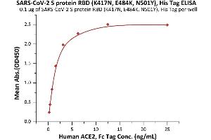 ELISA image for SARS-CoV-2 Spike S1 (B.1.351 - beta), (RBD) (Active) protein (His tag) (ABIN7013274)