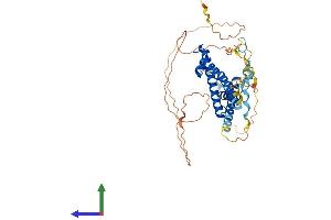 Protein Structure (PS) image for Suppressor of Ty 7 Like (SUPT7L) (AA 1-412) protein (His tag) (ABIN7560803)