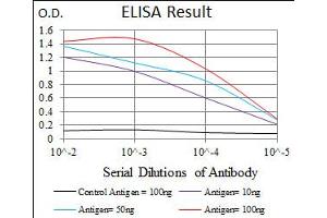 Image no. 2 for anti-Lipoprotein (Lp(a)) antibody (ABIN1491517) (Lp(a) 抗体)