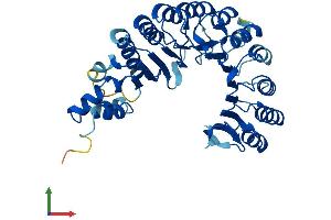 Protein Structure (PS) image for F-Box and Leucine-Rich Repeat Protein 8 (FBXL8) (AA 1-374) protein (His tag) (ABIN7547698)