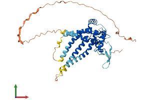 AlphaFold protein structure predicition of Human Recombinant MTCH1 Protein, UniprotID Q9NZJ7