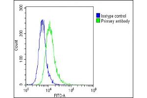 Overlay histogram showing A549 cells stained with (ABIN6242220 and ABIN6578794)(green line). (Thrombomodulin 抗体  (AA 92-126))