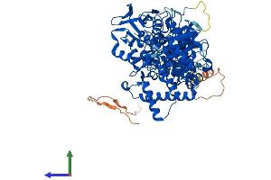 AlphaFold protein structure predicition of Mouse Recombinant Kdm1b Protein, UniprotID Q8CIG3