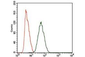Flow cytometric analysis of HeLa cells using PIWIL4 mouse mAb (green) and negative control (purple). (PIWIL4 抗体  (AA 304-434))