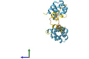 AlphaFold protein structure predicition of Mouse Recombinant Fadd Protein, UniprotID Q61160 (FADD Protein (AA 1-205) (His tag))