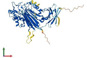 AlphaFold protein structure predicition of Human Recombinant INPP5K Protein, UniprotID Q9BT40