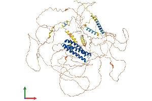 Protein Structure (PS) image for Discs, Large (Drosophila) Homolog-Associated Protein 2 (DLGAP2) (AA 1-1059) protein (His tag) (ABIN7564370)
