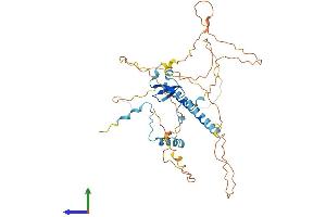 AlphaFold protein structure predicition of Human Recombinant WWTR1 Protein, UniprotID Q9GZV5