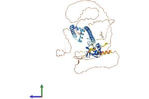 Protein Structure (PS) image for Glucocorticoid Modulatory Element Binding Protein 2 (GMEB2) (AA 1-530) protein (His tag) (ABIN7548074)