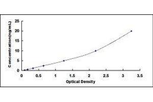 Suppressor of Cytokine Signaling 1 (SOCS1) ELISA Kit