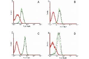 Flow cytometry analysis of 5-bromodeoxyuridin (BrdU) incorporation in CEM human acute lymphoblastic leukemia cell line using purified anti-5-bromodeoxyuridin (MoBu-1) (detection by Goat anti-mouse IgG1 FITC). (FAS 抗体  (APC))