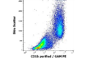 Flow cytometry surface staining pattern of human stimulated (GM-CSF + IL-4) peripheral blood mononuclear cells stained using anti-human CD1b (SN13) purified antibody (concentration in sample 9 μg/mL, GAM PE). (CD1b 抗体)