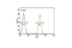 GIPR Antibody (Center) (ABIN391714 and ABIN2841605) flow cytometric analysis of MDA-M cells (right histogram) compared to a negative control (left histogram). (GIPR 抗体  (N-Term))