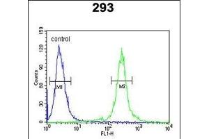 TCERG1L Antibody (Center) (ABIN652828 and ABIN2842540) flow cytometric analysis of 293 cells (right histogram) compared to a negative control cell (left histogram). (TCERG1L 抗体  (AA 392-421))