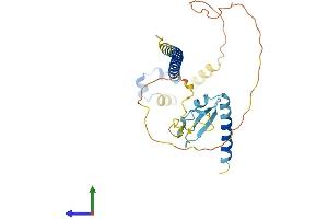 Protein Structure (PS) image for Cell Division Cycle Associated 8 (CDCA8) (AA 1-280) protein (His tag) (ABIN7552769)