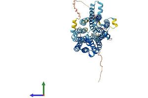 Protein Structure (PS) image for Solute Carrier Family 45, Member 2 (SLC45A2) (AA 1-530) protein (His tag) (ABIN7556515)