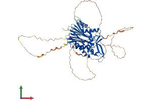 Protein Structure (PS) image for Protein Phosphatase, Mg2+/Mn2+ Dependent, 1D (PPM1D) (AA 1-598) protein (His tag) (ABIN7561816)