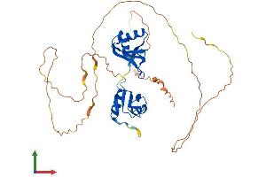 Protein Structure (PS) image for RNA Binding Motif, Single Stranded Interacting Protein 1 (RBMS1) (AA 1-403) protein (His tag) (ABIN7560013)