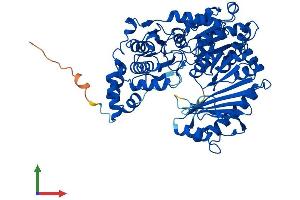AlphaFold protein structure predicition of Human Recombinant PGM2L1 Protein, UniprotID Q6PCE3