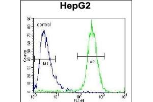 TYROBP Antibody (C-term) (ABIN653819 and ABIN2843091) flow cytometric analysis of HepG2 cells (right histogram) compared to a negative control (Rabbit IgG alone) (left histogram). (TYROBP 抗体  (C-Term))