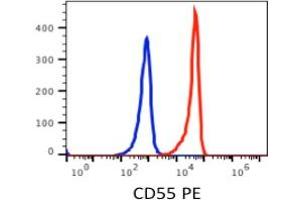 Flow Cytometry (FACS) image for anti-Complement Decay-Accelerating Factor (CD55) antibody (PE) (ABIN3071835) (CD55 抗体  (PE))