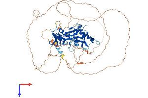 AlphaFold protein structure predicition of Human Recombinant FAM169A Protein, UniprotID Q9Y6X4