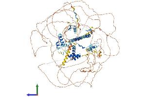 Protein Structure (PS) image for Transcriptional Regulating Factor 1 (TRERF1) (AA 1-1200) protein (His tag) (ABIN7555796)