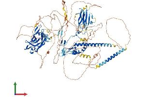 AlphaFold protein structure predicition of Human Recombinant MYRF Protein, UniprotID Q9Y2G1