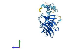 AlphaFold protein structure predicition of Human Recombinant SPSB2 Protein, UniprotID Q99619