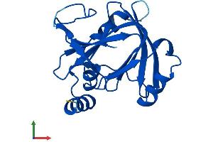 Protein Structure (PS) image for Acireductone Dioxygenase 1 (ADI1) (AA 1-179) protein (His tag) (ABIN7549609)