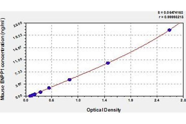 ENPP1 ELISA 试剂盒