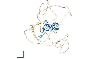 Protein Structure (PS) image for Coilin (COIL) (AA 1-576) protein (His tag) (ABIN7546707)