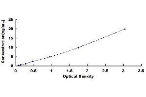 Typical standard curve (Osteocalcin ELISA 试剂盒)