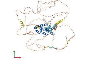 AlphaFold protein structure predicition of Human Recombinant AKAP8L Protein, UniprotID Q9ULX6