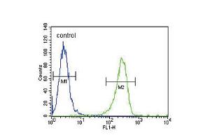 Flow cytometric analysis of A2058 cells (right histogram) compared to a negative control cell (left histogram). (PLAT 抗体  (AA 371-399))