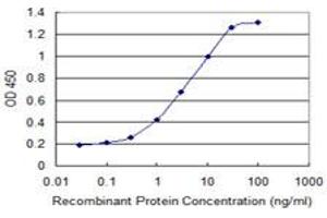 Detection limit for recombinant GST tagged GCA is 0. (Grancalcin 抗体  (AA 1-217))