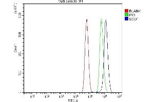 Flow Cytometry analysis of U87 cells using anti-SCO1 antibody (ABIN7600609).